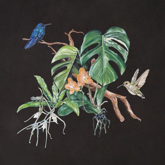 Tropische Pflanzen, Kolibri und blauer Vogel auf schwarzem Hintergrund.