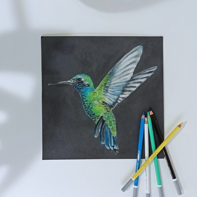 Kolibri in lebhaften Farben, umgeben von bunten Buntstiften auf schwarzem Hintergrund.